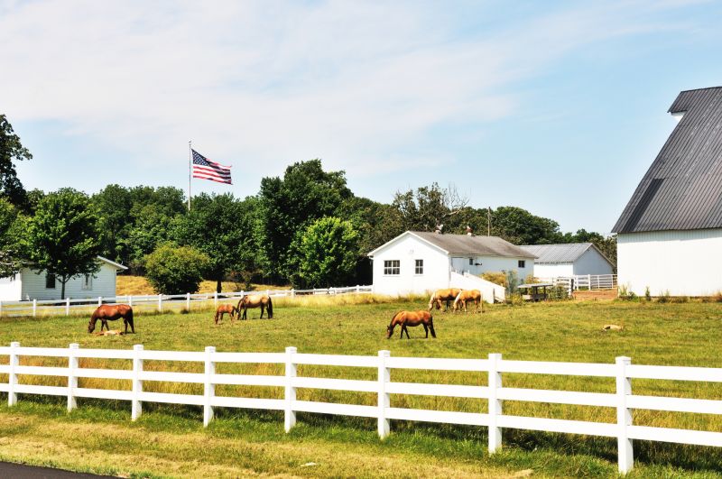 Horse Fence Replacement in Sacramento, CA
